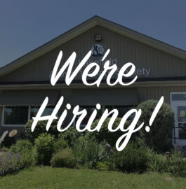 We’re Hiring: Fundraising Coordinator