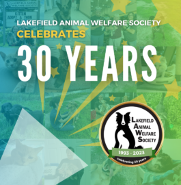 LAWS Celebrates 30 Years – Help Us Reach Our Goal!