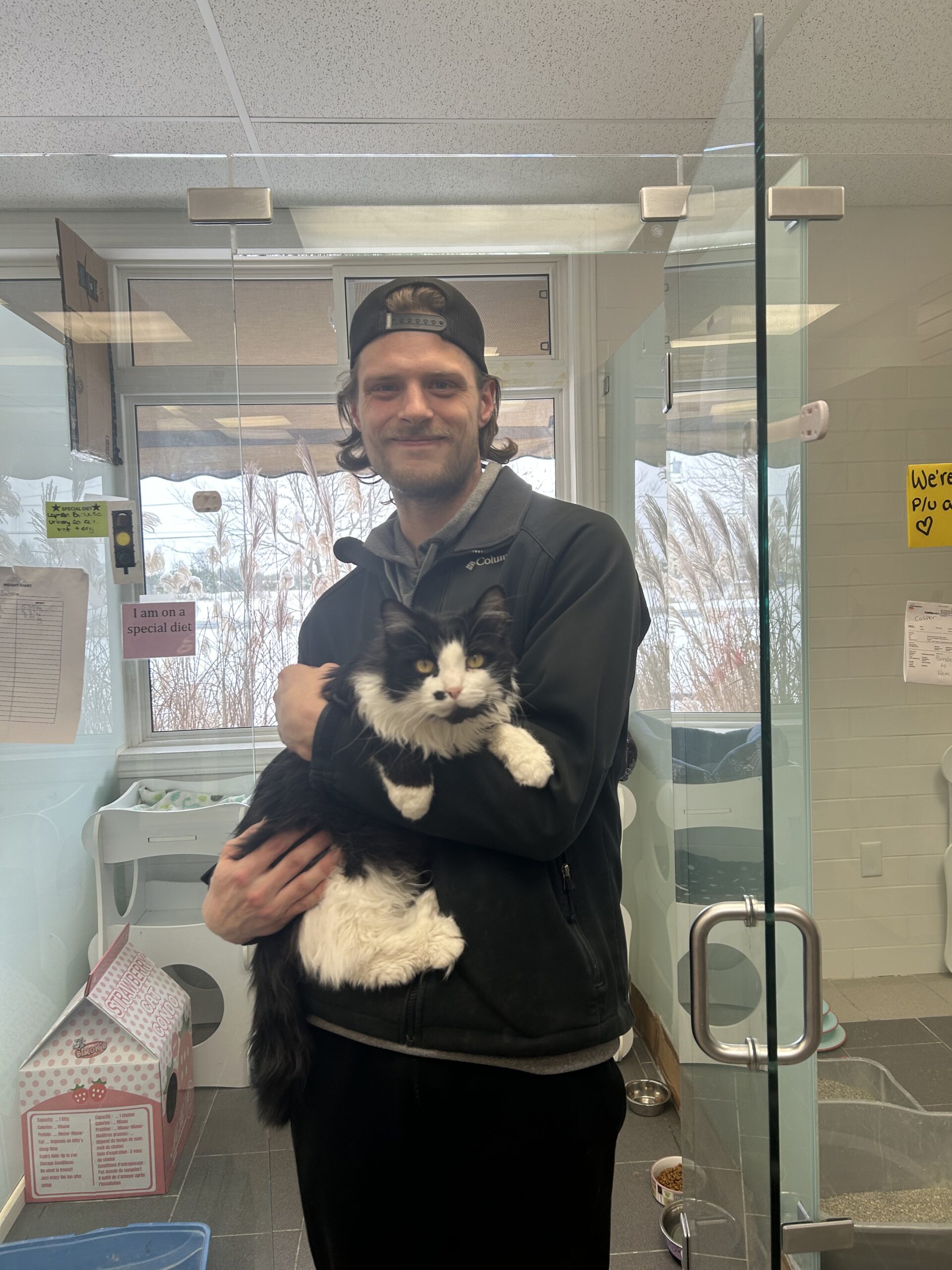 Captain Barbossa Home at Last! Lakefield Animal Welfare Society