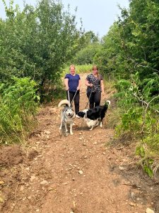 Shelter dogs walking along the new nature trail at Lakefield Animal Welfare Society with ACAs, surrounded by trees and greenery.