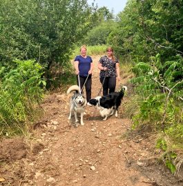 A Fresh New Look: Our New Dog Walking Trail at LAWS A Fresh New Look: Our New Dog Walking Trail at LAWS