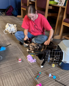 Trent student with kittens and carrier