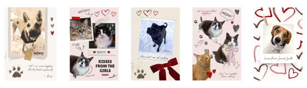 Valentine's Day cards 2026