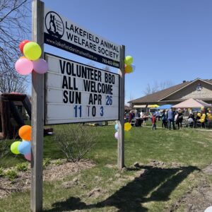 LAWS sign with balloons
