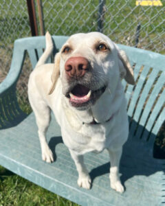 Sophie on a bench