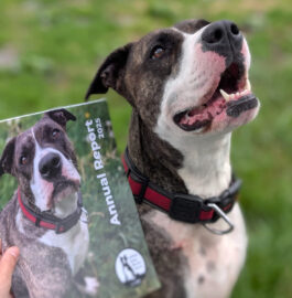 2025 Annual Report Reflects Community Impact