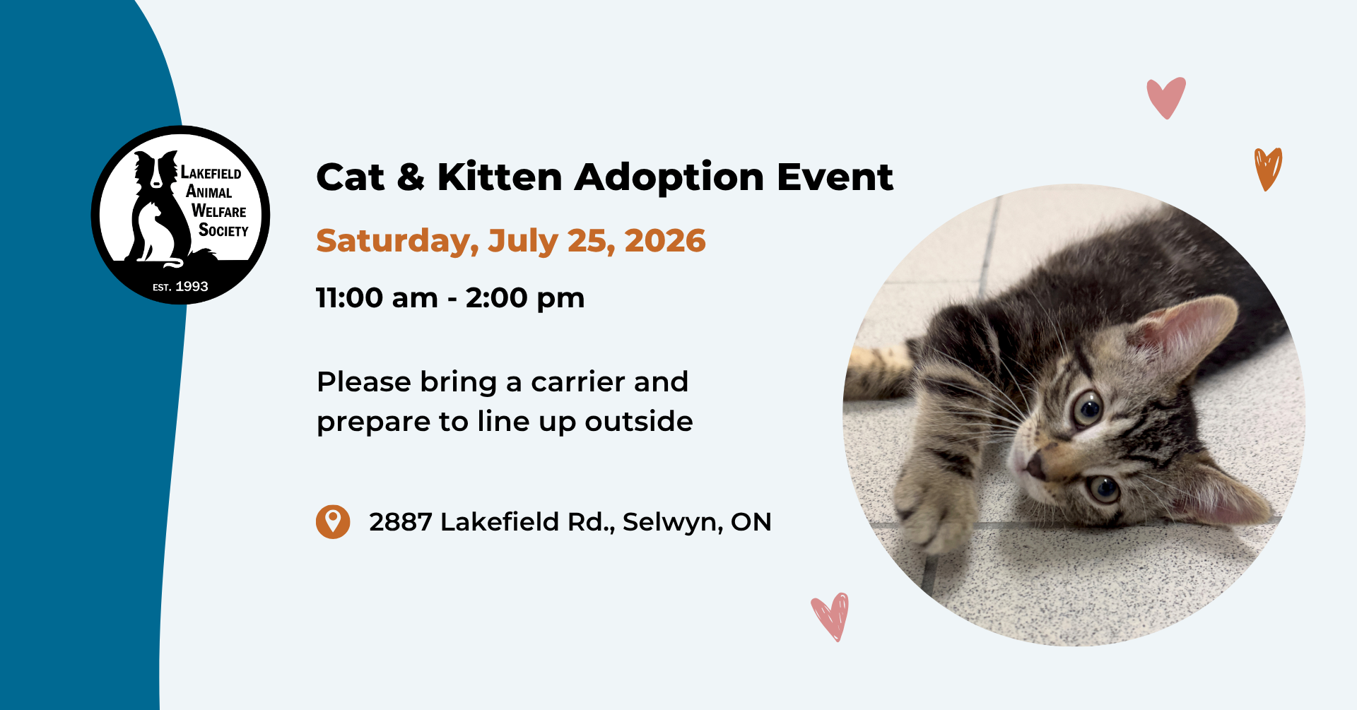 2026 Cat and Kitten Adoption Event