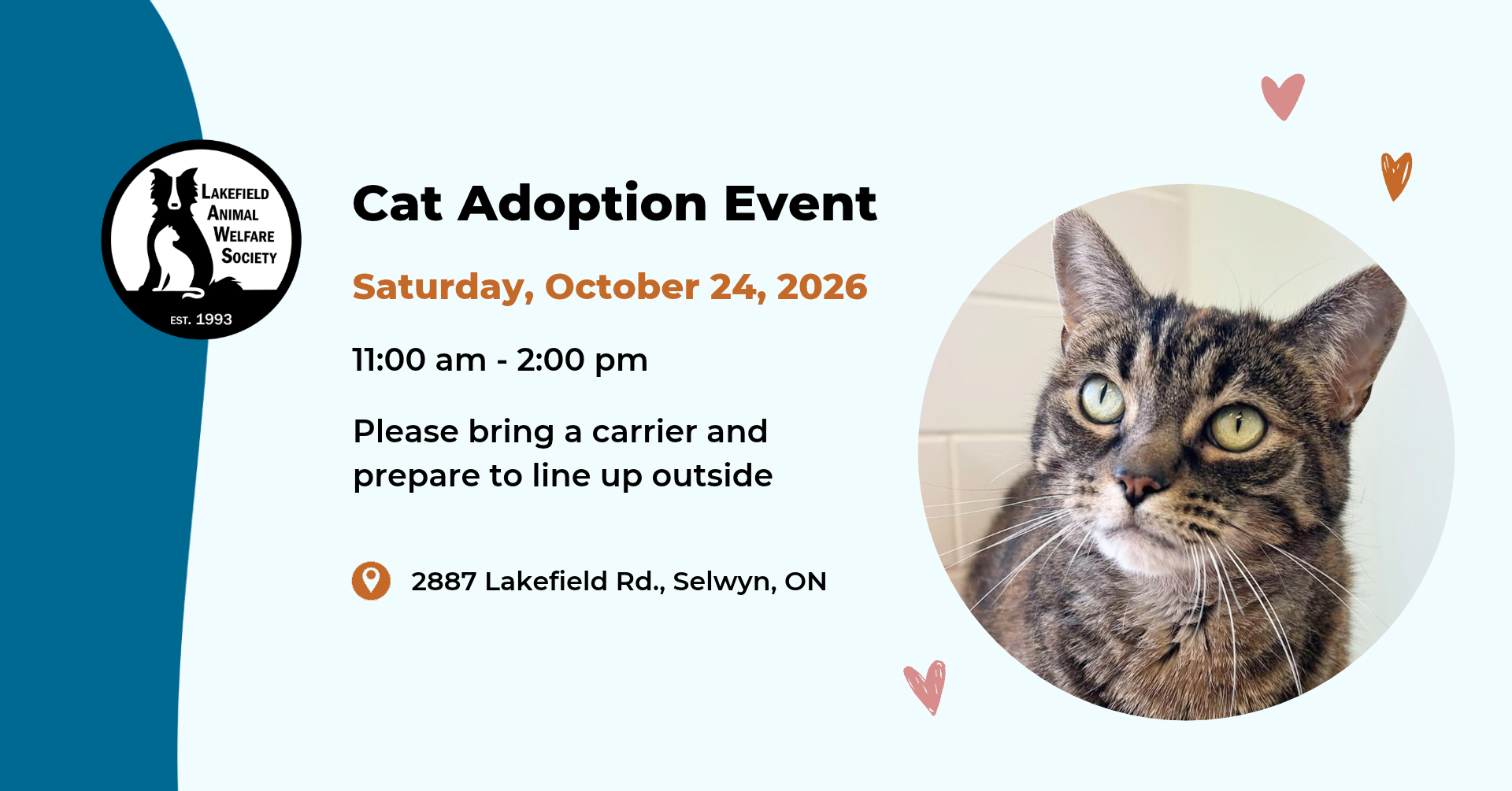 Fall 2026 Cat Adoption Event on Saturday, October 24, 2026